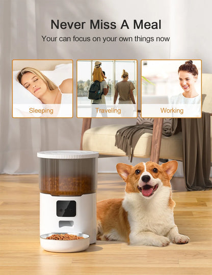 COMEDERO AUTOMATICO PARA PERROS Y GATOS