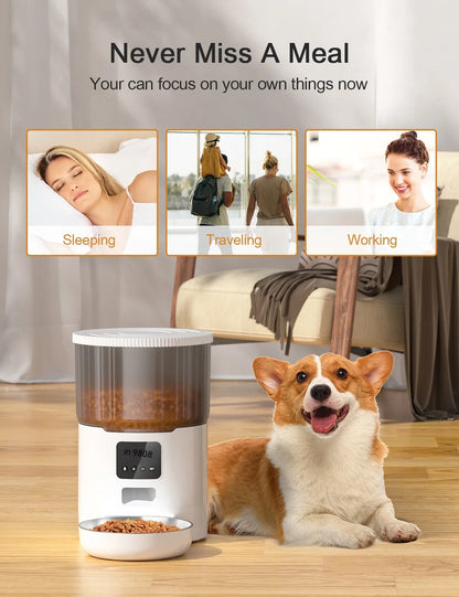 COMEDERO AUTOMATICO PARA PERROS Y GATOS